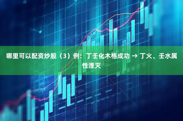 哪里可以配资炒股（3）例：丁壬化木格成功 → 丁火、壬水属性湮灭