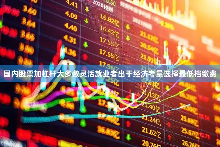 国内股票加杠杆大多数灵活就业者出于经济考量选择最低档缴费
