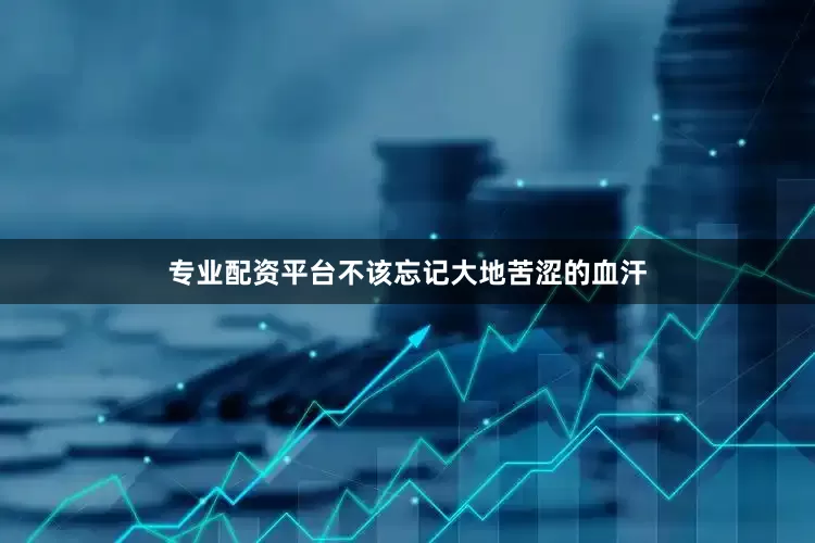 专业配资平台不该忘记大地苦涩的血汗
