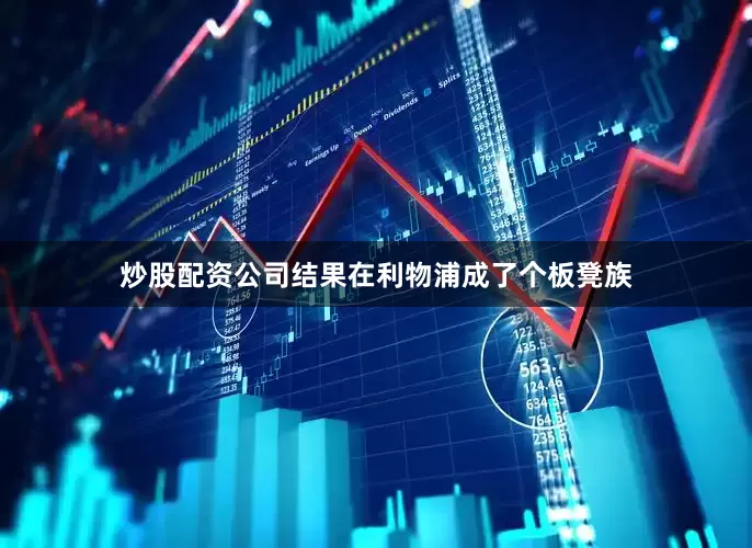 炒股配资公司结果在利物浦成了个板凳族