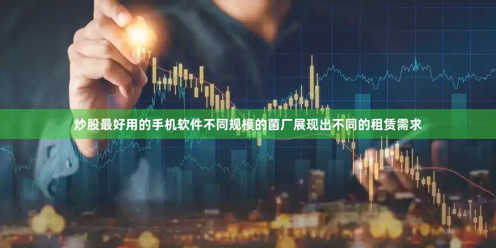 炒股最好用的手机软件不同规模的菌厂展现出不同的租赁需求
