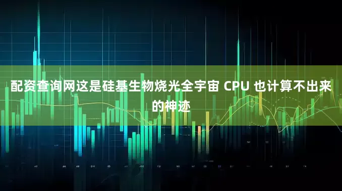 配资查询网这是硅基生物烧光全宇宙 CPU 也计算不出来的神迹
